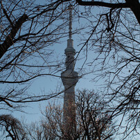 NIKON(ニコン)のレンズ Ai Nikkor 24mm f/2.8S で撮影した写真(画像