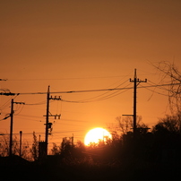 CANON(キヤノン)のレンズ EF-S55-250mm F4-5.6 IS で撮影した写真(画像