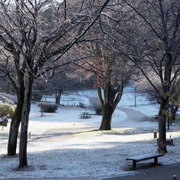 風景写真を綺麗に❤️Nikon AF-S 55-200mm F4-5.6G ED AF-S DX VR Zoom-Nikkor 55-200mm f/4-5.6G IF-EDで撮影された写真