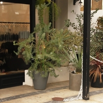 北青山界隈　２