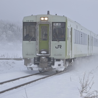 NIKON(ニコン)のレンズ AF-P DX NIKKOR 70-300mm f/4.5-6.3G ED VR で