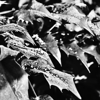 NIKON(ニコン)のレンズ AF-S NIKKOR 50mm f/1.8G で撮影した写真(画像