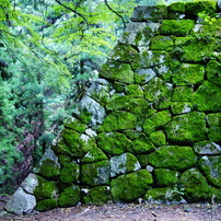 SONY(ソニー)のレンズ DT 50mm F1.8 SAM SAL50F18 で撮影した写真(画像