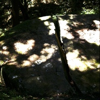 SONY(ソニー)のレンズ DT 50mm F1.8 SAM SAL50F18 で撮影した写真(画像