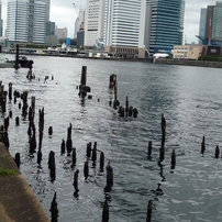 PANASONIC(パナソニック)のデジタルカメラLUMIX DMC-FX35 で撮影した