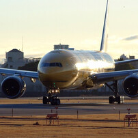 NIKON(ニコン)のレンズ Ai AF Zoom Nikkor ED70-300mm F4-5.6D で撮影