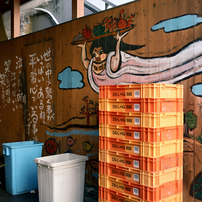 NIKON(ニコン)のレンズ NIKKOR Z DX 16-50mm f/2.8 VR で撮影した写真