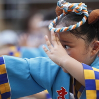 阿波踊り2011