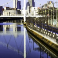 NIKON(ニコン)のレンズ AF-P DX NIKKOR 70-300mm f/4.5-6.3G ED VR で