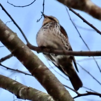 CANON(キヤノン)のデジタルカメラPowerShot SX70 HS で撮影した写真