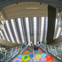 SONY(ソニー)のレンズ E16mm F2.8 SEL16F28 で撮影した写真(画像)一覧