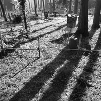 CASIO(カシオ)のデジタルカメラEXILIM ZOOM EX-Z2000 で撮影した写真