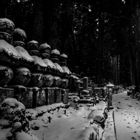 CANON(キヤノン)のレンズ EF28-70mm F2.8L USM で撮影した写真(画像