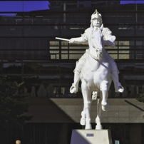 NIKON(ニコン)のレンズ AF-P DX NIKKOR 70-300mm f/4.5-6.3G ED VR で