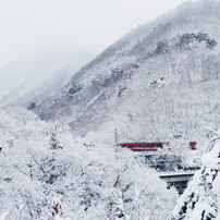 OLYMPUS(オリンパス)のレンズ M.ZUIKO DIGITAL ED 14-150mm F4.0-5.6