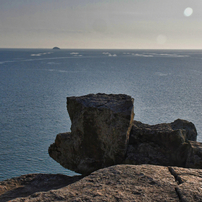 海を見ていた。