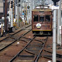 CANON(キヤノン)のレンズ EF-S55-250mm F4-5.6 IS II で撮影した写真