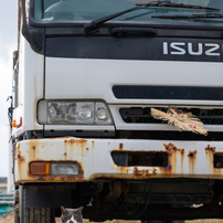 北風とおひげとダンプカー