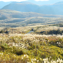 NIKON(ニコン)のデジタル一眼D7000 で撮影した写真(画像)一覧- 写真