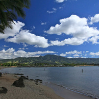 Viva! Hawaii 2011