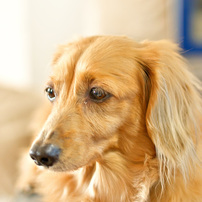 Nikon AF-S NIKKOR 50mm f/1.8G レンズ　作例あり Nikon AF-S NIKKOR 50mm f/1.8 G 実写レビュー