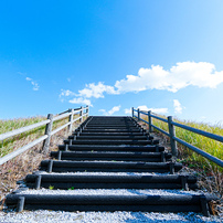 SONY(ソニー)のレンズ E 11 mm F1.8 SEL11F18 で撮影した写真(画像