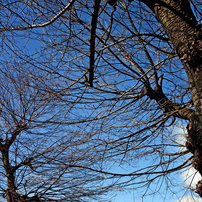 FUJIFILM(富士フイルム)のデジタルカメラFinePix F200EXR で撮影した