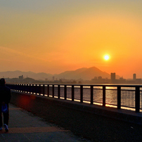 NIKON(ニコン)のレンズ AF-S DX NIKKOR 18-200mm f/3.5-5.6G ED VR II