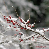 CANON(キヤノン)のレンズ EF100-300mm F5.6 で撮影した写真(画像)一覧 