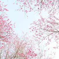 CANON(キヤノン)のレンズ EF-S10-22mm F3.5-4.5 USM で撮影した写真
