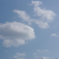 空が青い