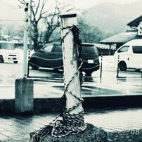 MINOLTA(ミノルタ)のフィルムカメラα-101si で撮影した写真(画像)一覧