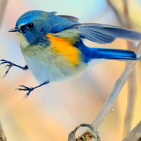 OLYMPUS(オリンパス)のレンズ M.ZUIKO DIGITAL ED 150-400mm F4.5 TC1