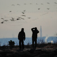 同好の士の背中をお借りして