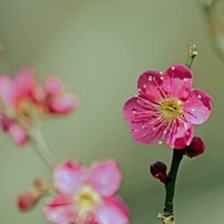 CANON(キヤノン)のデジタル一眼EOS Kiss X9i で撮影した写真(画像)一覧