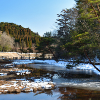 NIKON(ニコン)のレンズ AF-S DX NIKKOR 16-85mm f/3.5-5.6G ED VR で