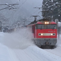 NIKON(ニコン)のデジタル一眼D5600 で撮影した写真(画像)一覧- 写真