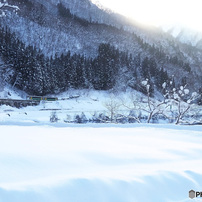 OLYMPUS(オリンパス)のレンズ M.ZUIKO DIGITAL ED 14-150mm F4.0-5.6