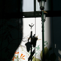 OTHERS(その他)のデジタルカメラKODAK PIXPRO FZ45 で撮影した写真