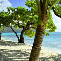 マニャガハ島にて