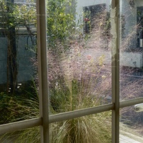 PANASONIC(パナソニック)のデジタルカメラLUMIX DMC-TZ60 で撮影した