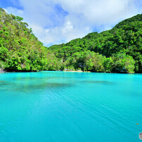 NIKON(ニコン)のレンズ AF-S DX Zoom-Nikkor 12-24mm f/4G IF-ED で