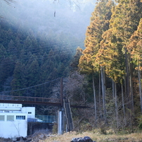 CANON(キヤノン)のレンズ EF100-300mm F4.5-5.6 USM で撮影した写真