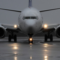 CANON(キヤノン)のレンズ EF300mm F4L IS USM で撮影した写真(画像