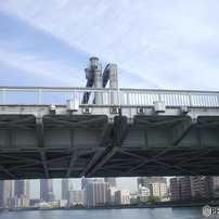 FUJIFILM(富士フイルム)のデジタルカメラFinePix A800 で撮影した写真