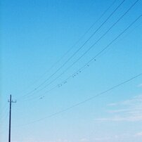 OLYMPUS(オリンパス)のフィルムカメラPEN EED で撮影した写真(画像