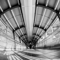 OTHERS(その他)のレンズ TTArtisan 11mm f/2.8 Fisheye [ソニーE用] で