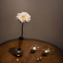 LEICA(ライカ)のレンズ ズミルックスM f1.4/35mm ASPH. 11726