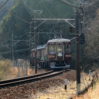 CANON(キヤノン)のレンズ EF-S55-250mm F4-5.6 IS II で撮影した写真