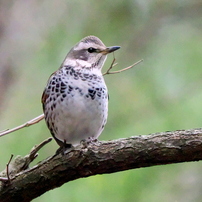 OLYMPUS(オリンパス)のレンズ M.ZUIKO DIGITAL ED 150-400mm F4.5 TC1